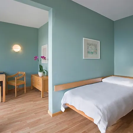 Hotel Serpiano 3*